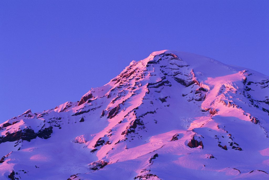 Detail of Sunset on Washington's Volcanic Mount Rainier by Anonymous
