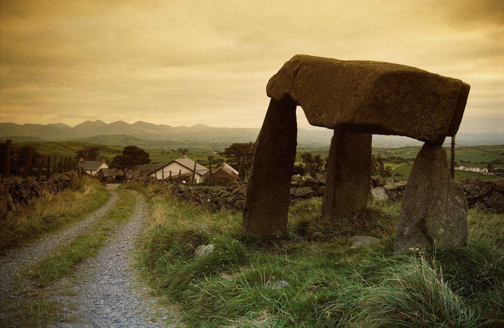 Detail of Dolmen in Irish Countryside by Corbis