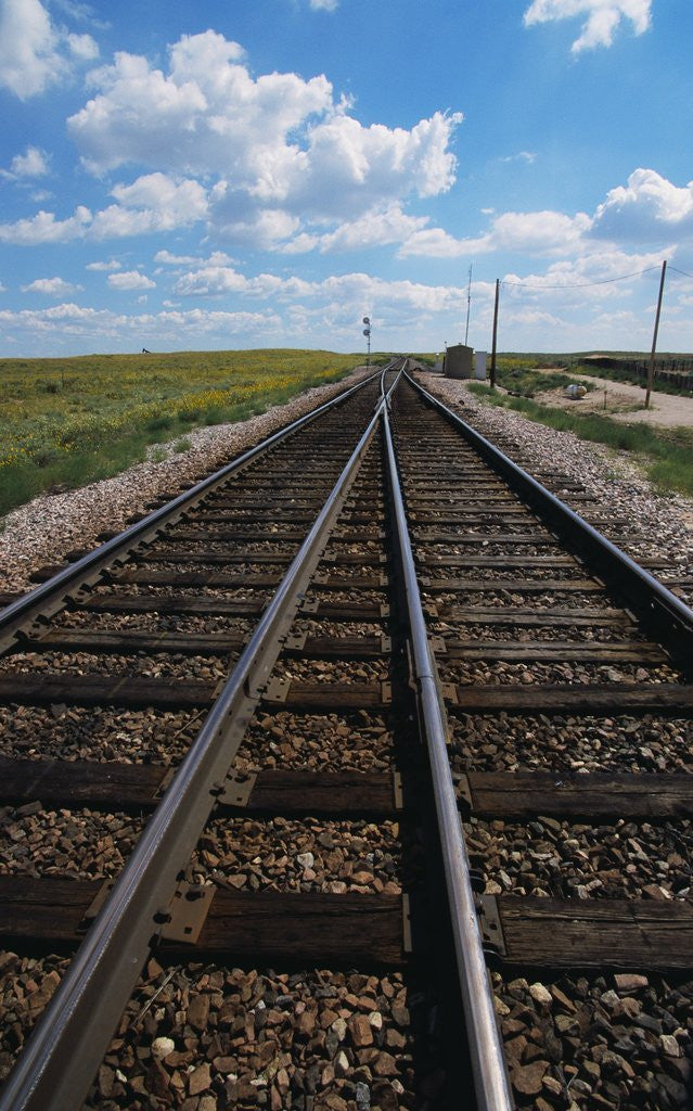 Detail of Railroad Tracks by Anonymous