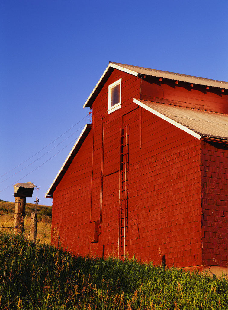 Detail of Red Barn by Anonymous