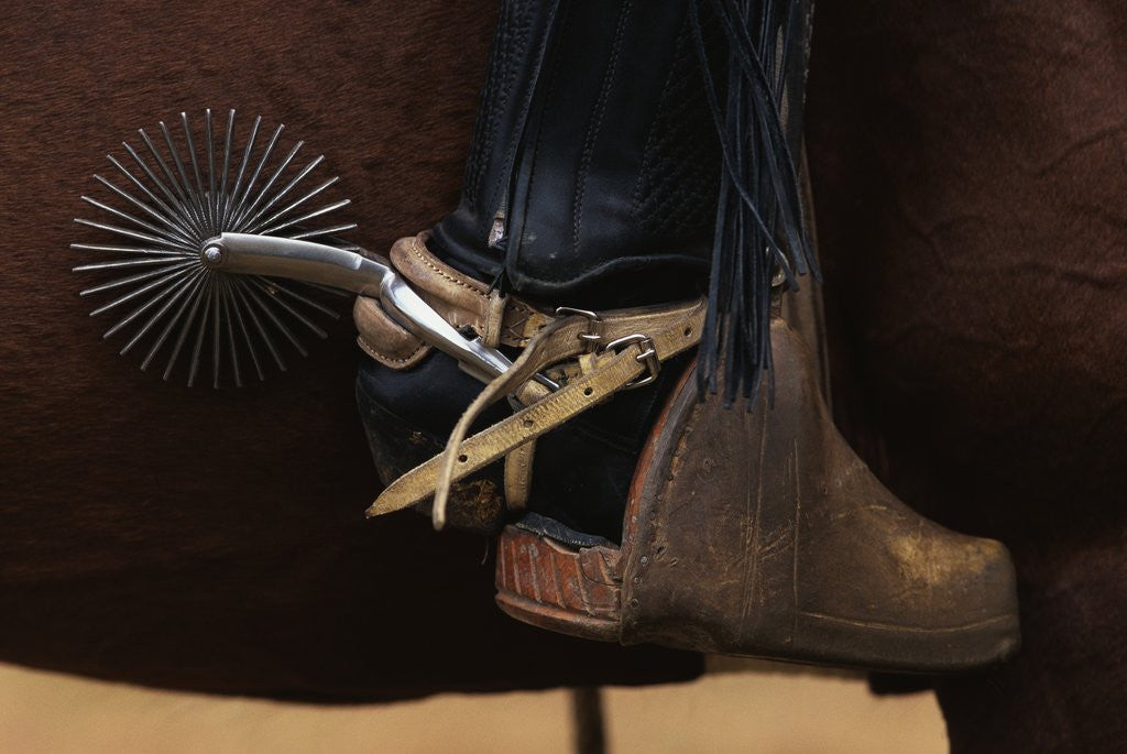 Detail of Chilean Cowboy with Elaborate Spurs by Anonymous