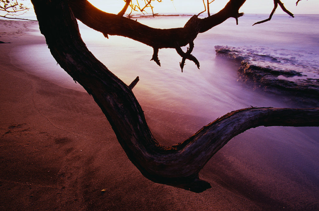 Detail of Ocean Sunset from Beach by Anonymous