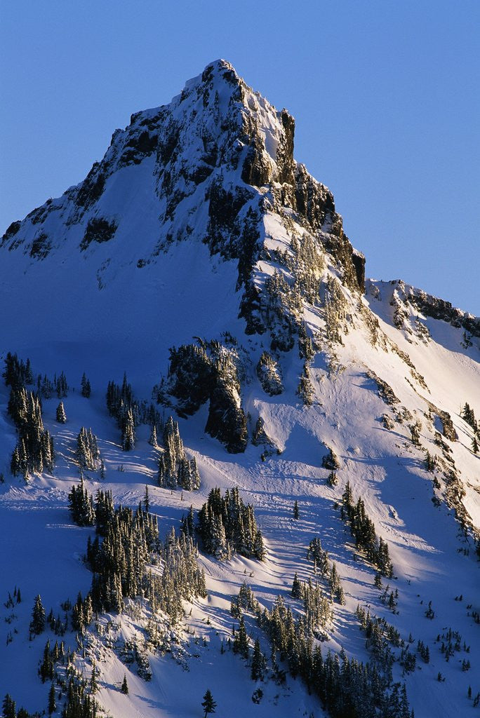 Detail of Snow Covered Pinnacle Peak, Mount Rainier National Park by Anonymous
