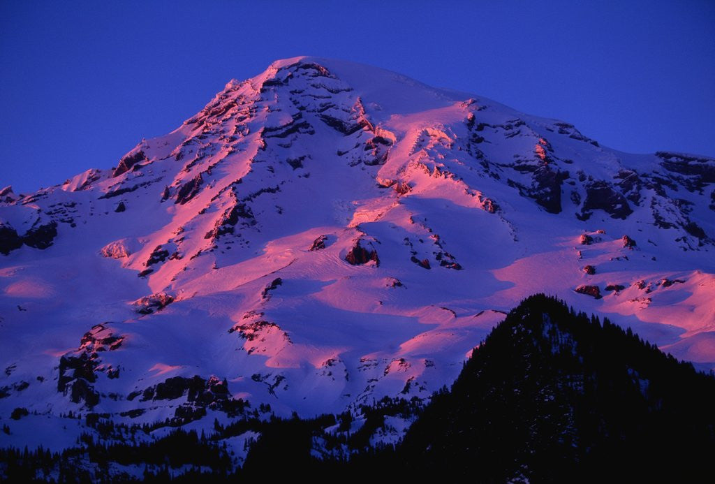 Detail of Sunset Alpenglow on Mount Rainier by Anonymous
