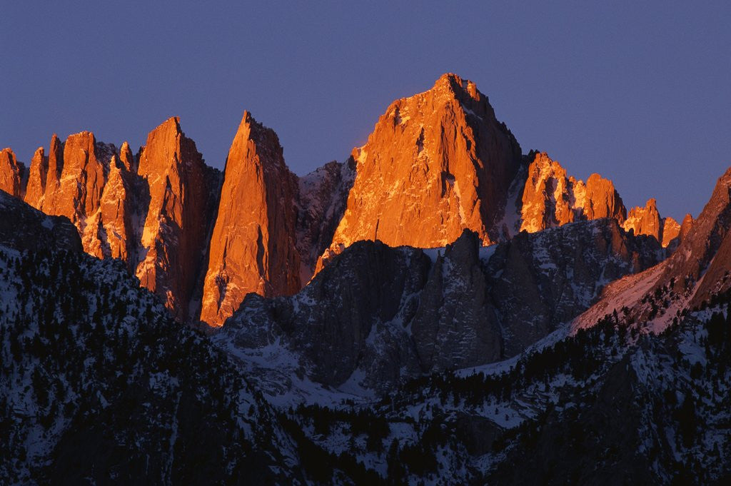 Detail of Morning Light on Mount Whitney by Anonymous