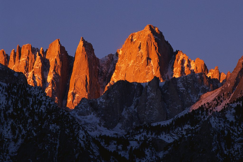 Detail of Morning Light on Mount Whitney by Corbis