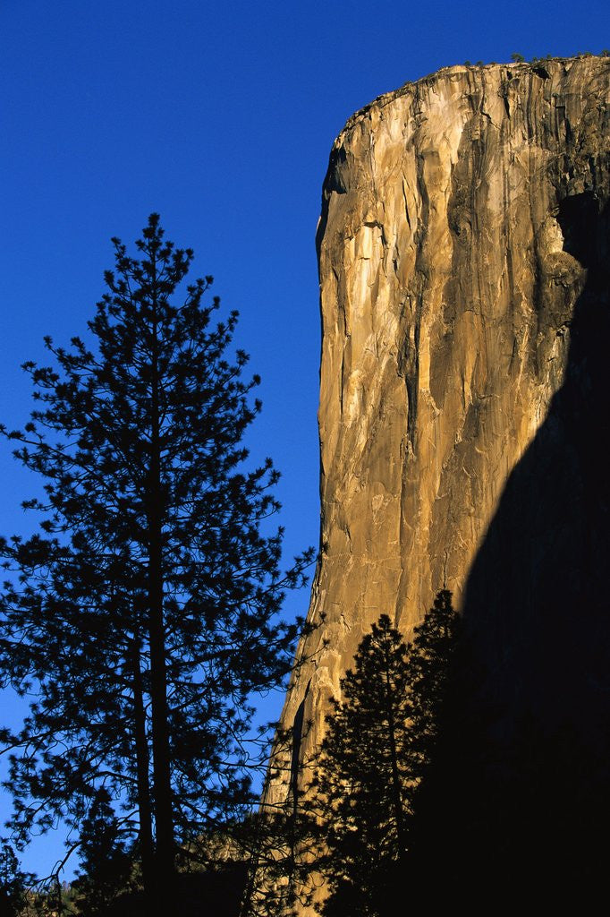 Detail of Sunlight Shining on El Capitan by Anonymous