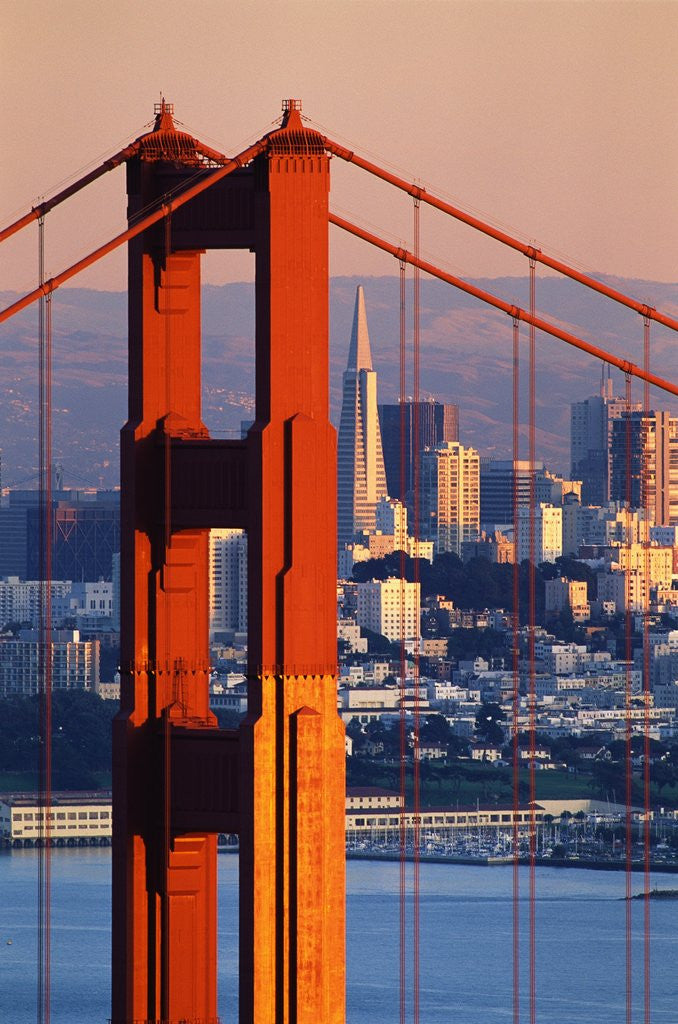 Detail of Golden Gate Bridge and San Francisco Skyline by Corbis