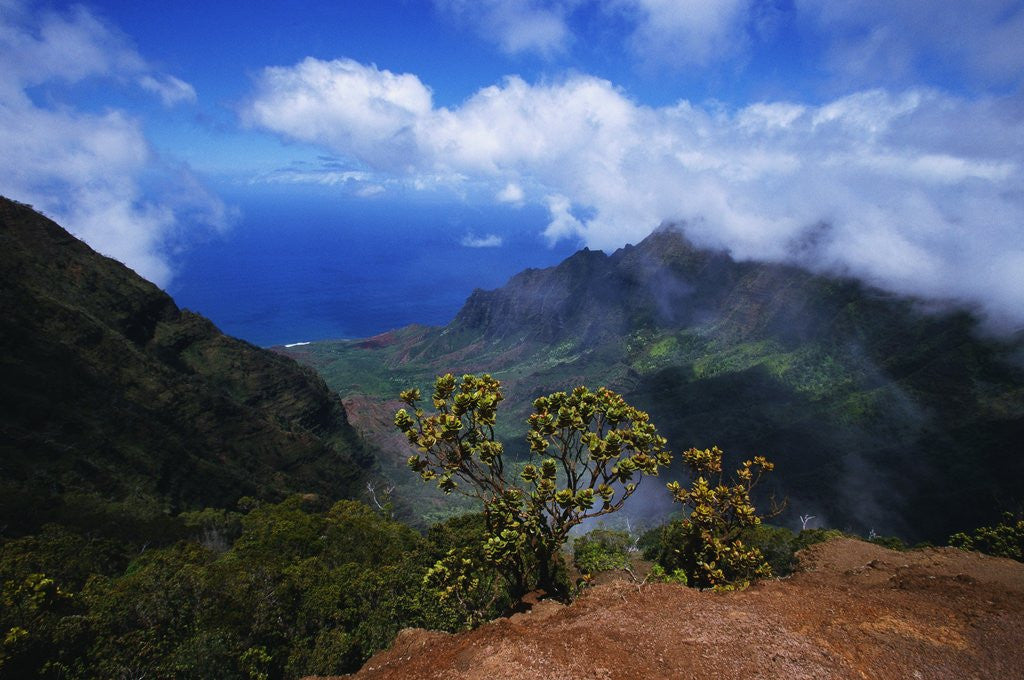 Detail of Hills Along the Napali Coast by Anonymous