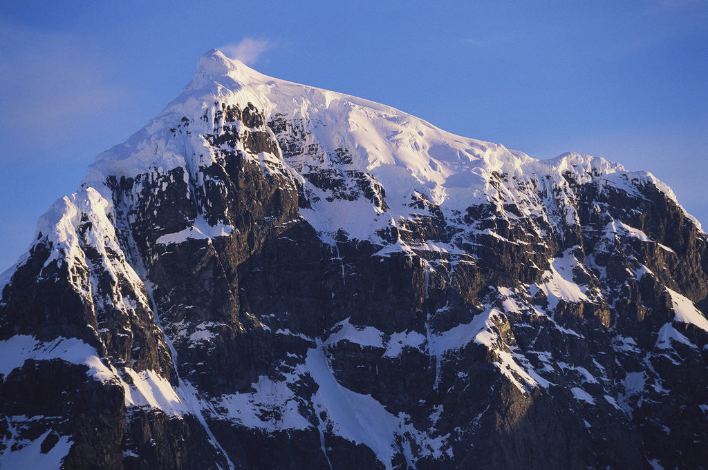 Detail of Snowcapped Mountain on Wiencke Island by Anonymous