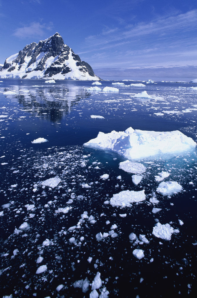 Detail of Icebergs in Lemaire Channel by Anonymous