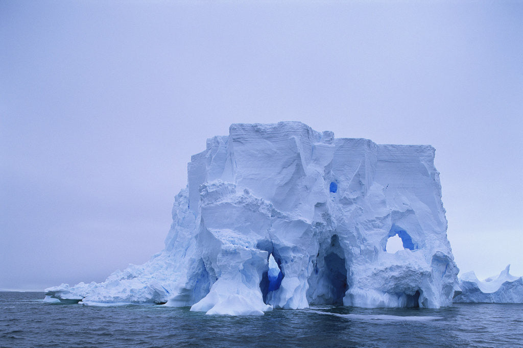 Detail of Iceberg in Antarctica by Anonymous