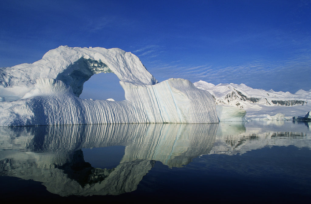 Detail of Dorian Bay Iceberg by Anonymous