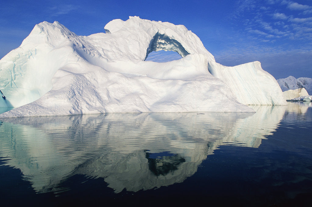 Detail of Dorian Bay Iceberg by Anonymous