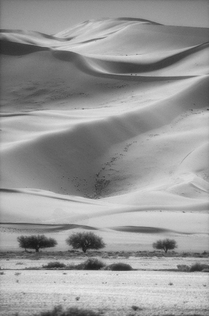 Detail of Sossusvlei Sand Dunes by Anonymous