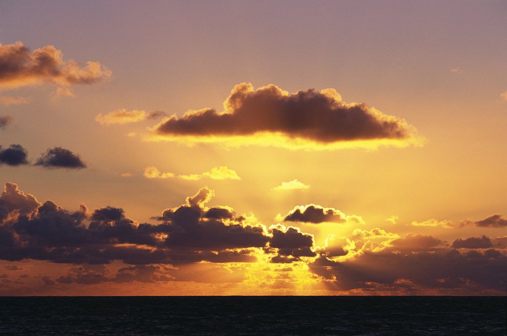 Detail of Sunset over the Pacific Ocean by Corbis