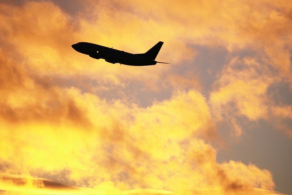 Detail of Jet Taking Off from SeaTac International Airport by Anonymous
