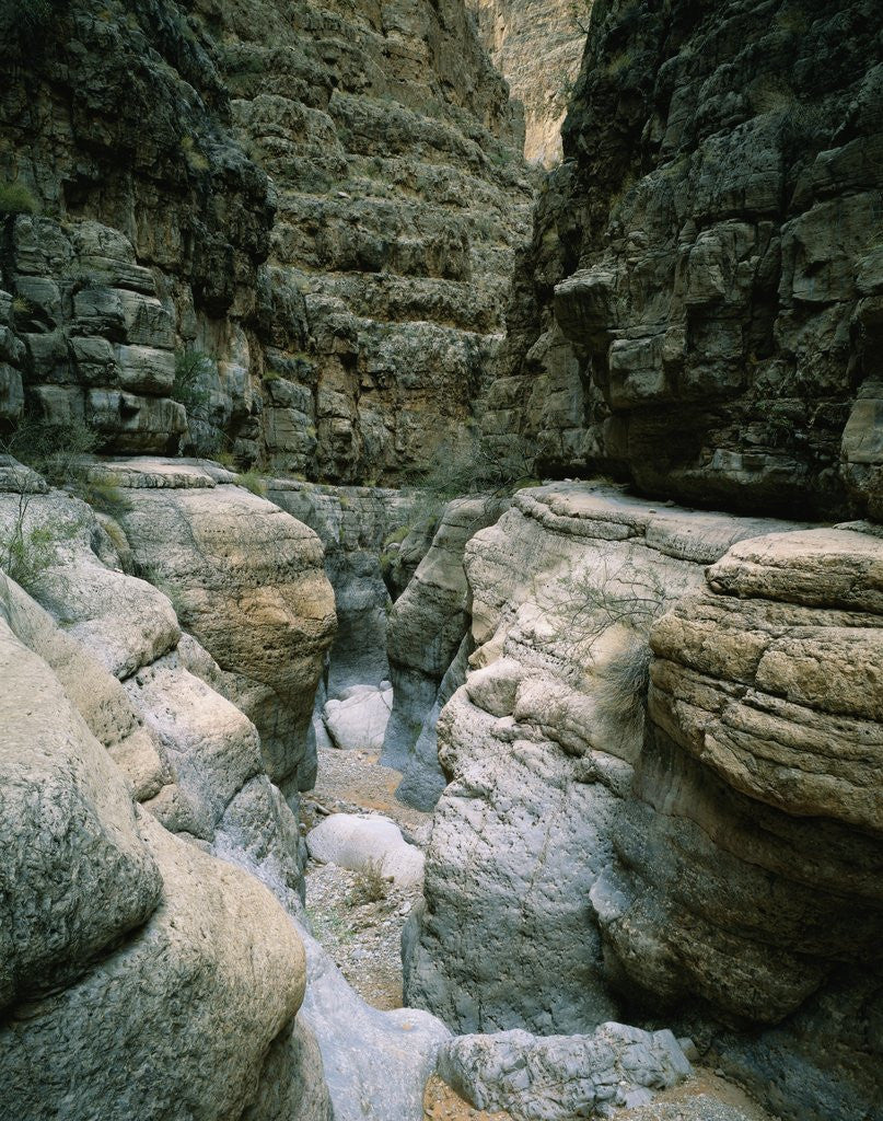 Detail of Canyon of Eroded Limestone by Anonymous