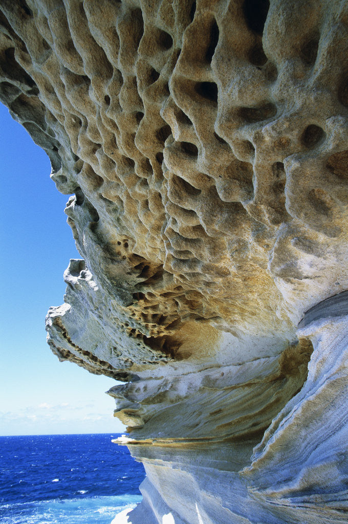 Detail of Cliff Eroding at Maroubra Beach by Corbis