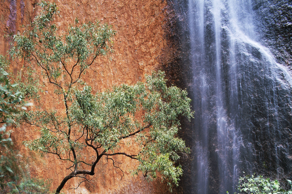 Detail of Ayers Rock Waterfall by Corbis