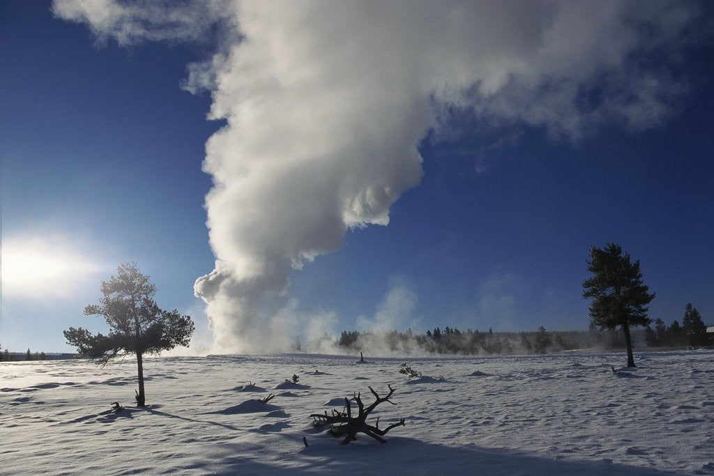 Detail of Old Faithful Geyser Erupting in Winter by Anonymous