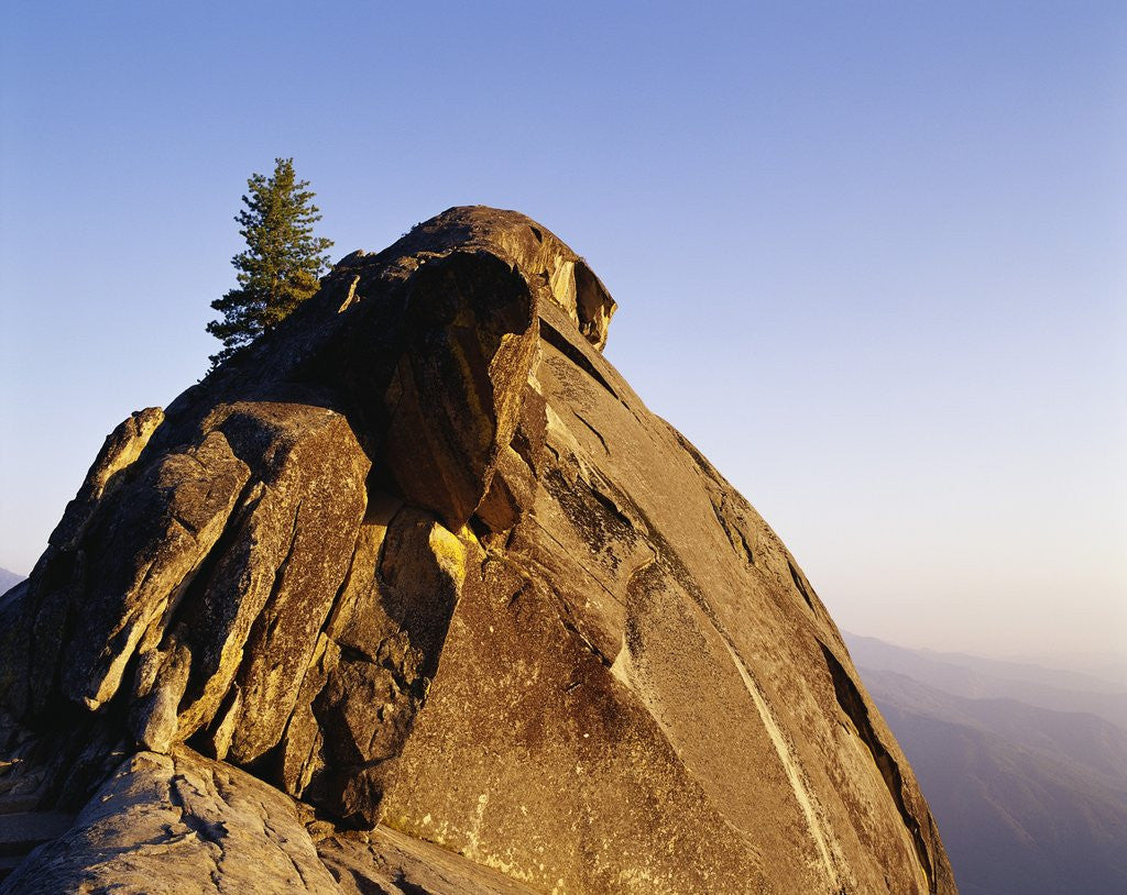 Detail of Top of Moro Rock by Anonymous