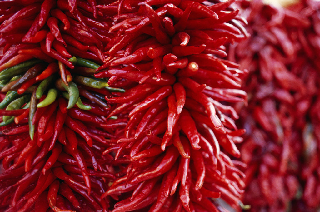Detail of Chili Peppers by Anonymous