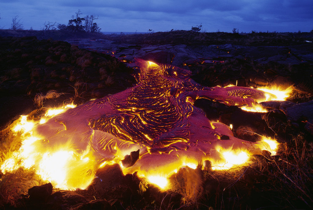 Detail of Pahoehoe Lava from Kilauea by Anonymous