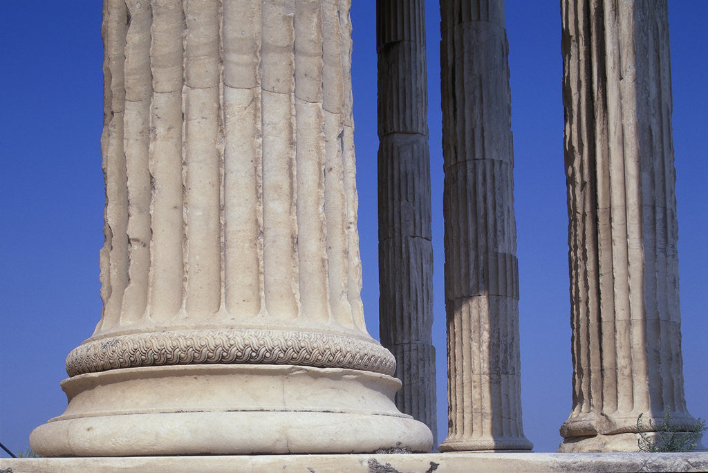 Detail of Ionic Marble Columns of the Erechtheion by Anonymous