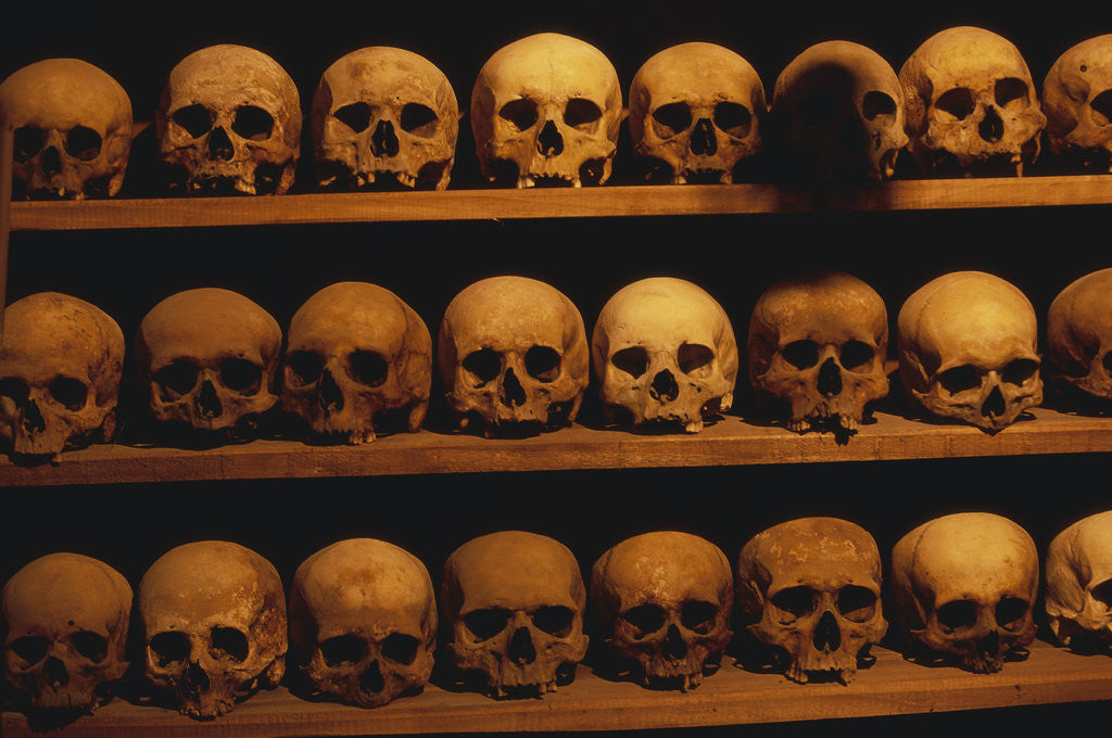 Detail of Shelves of Monk Skulls at Great Meteoron Ossuary by Anonymous