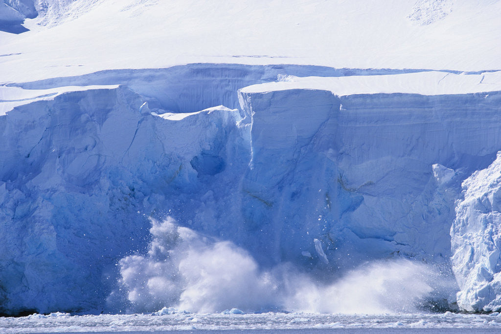 Detail of Glacier Calving Iceberg into Paradise Bay in Antarctica by Anonymous