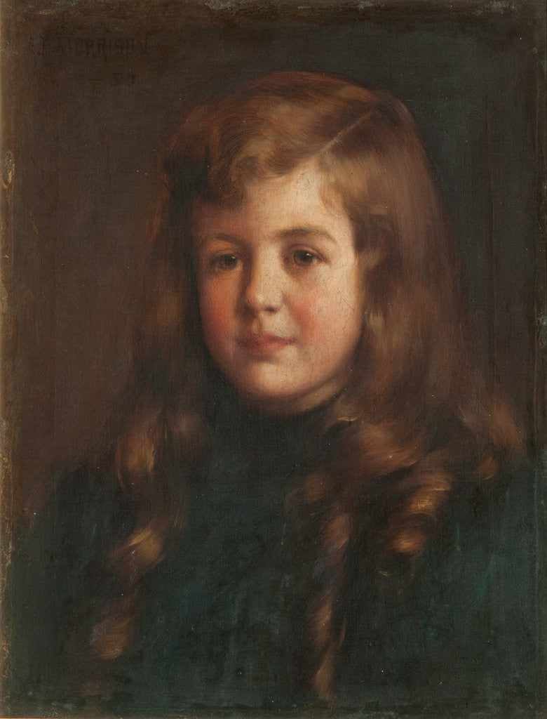 Detail of Portrait of a boy by Robert Edward Morrison
