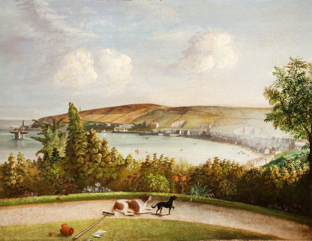 Detail of Douglas from Castle Hill Garden by Will Johnson