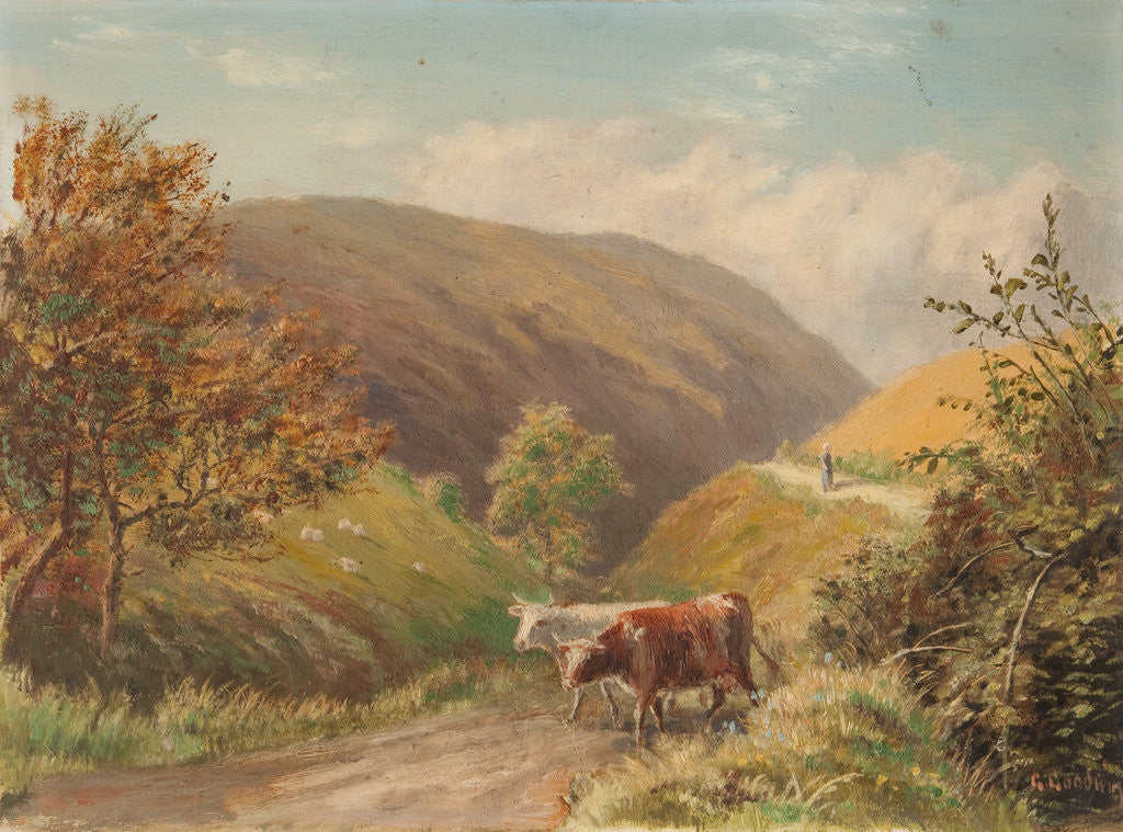 Detail of Looking Down Glen Rushen, Patrick by George Goodwin