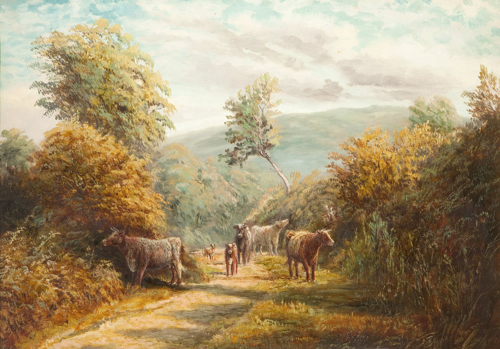 Detail of Sulby Glen, Lezayre by Raymond Dearn