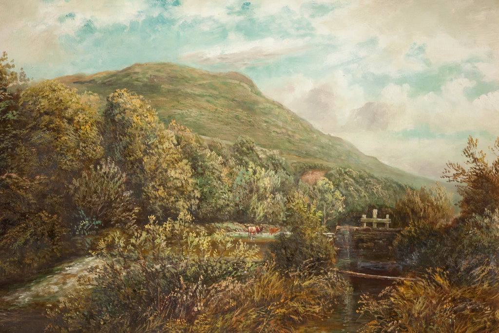 Detail of Sulby Glen, Ballaskely, Lezayre by Raymond Dearn