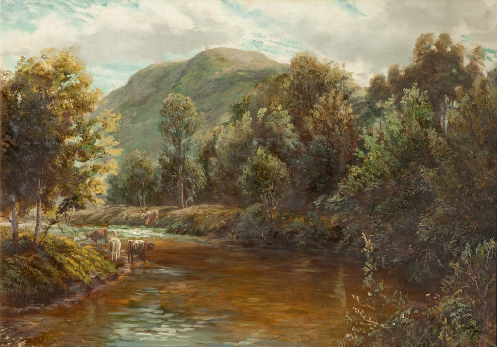 Detail of Sulby Glen, Lezayre by Raymond Dearn