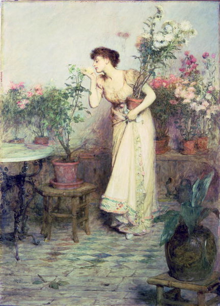Detail of In the Conservatory, 1894 by William Quiller Orchardson