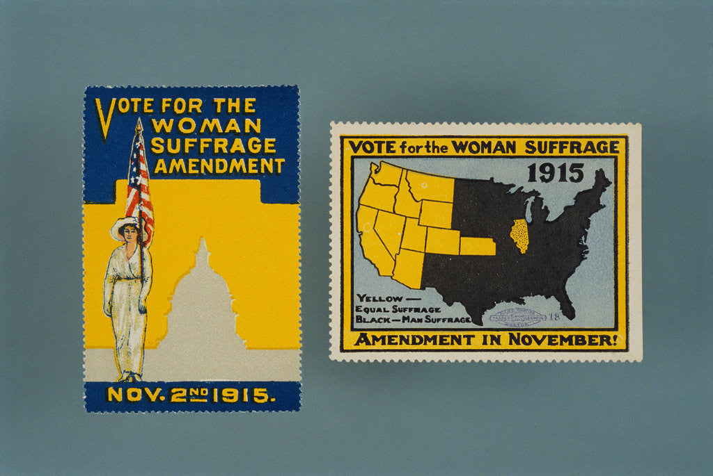 Detail of Woman Suffrage Brochure and Stamp by Corbis