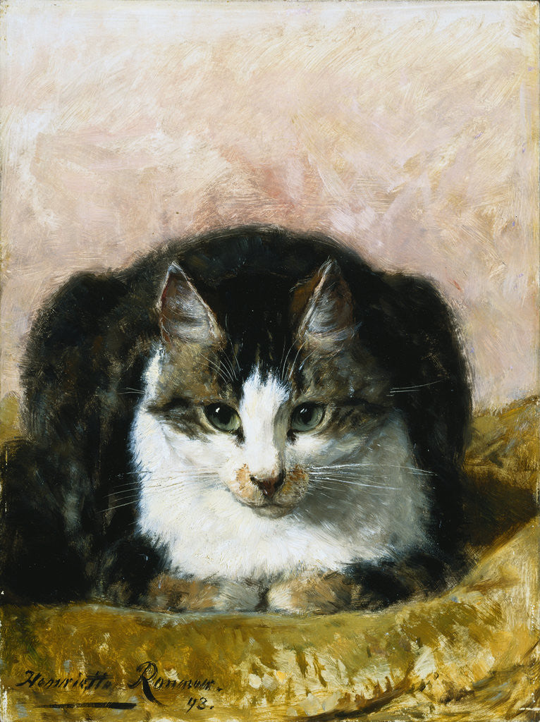 Detail of Sitting Pretty by Henriette Ronner