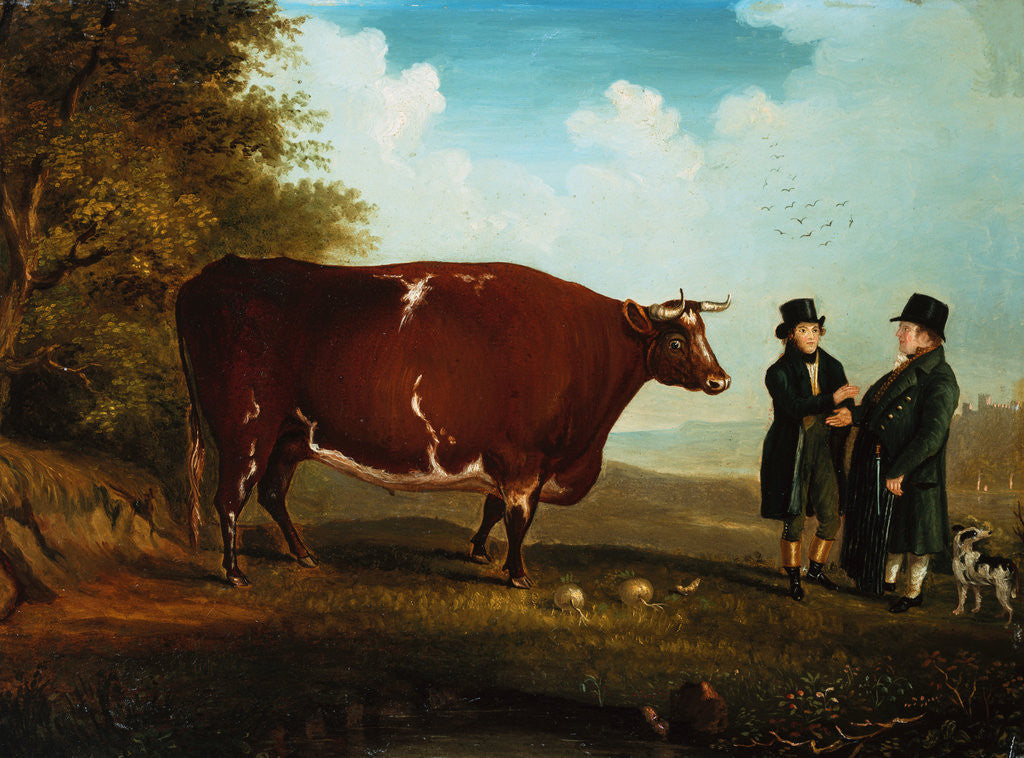 Detail of The Northumberland Ox by Howe of Edinburgh