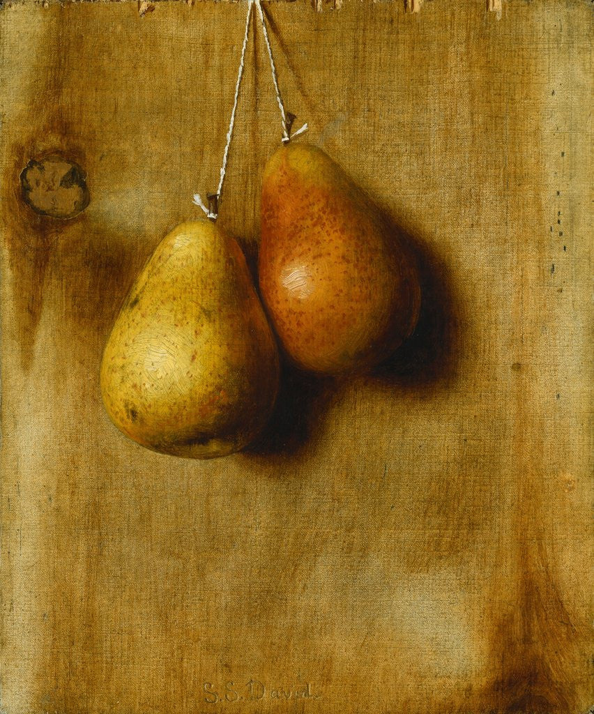 Detail of Hanging Pears by Stanley S. David