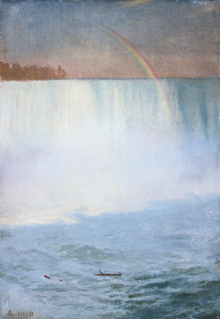 Detail of Waterfall and Rainbow: Niagara by Albert Bierstadt