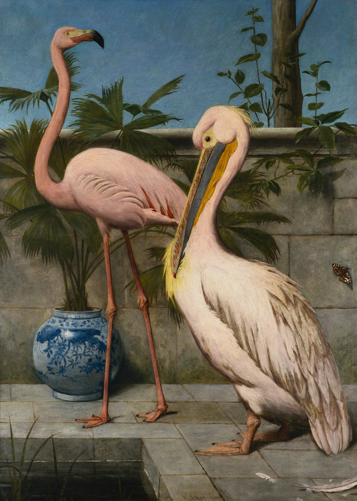 Detail of Flamingo and Pelican by Henry Stacy Marks