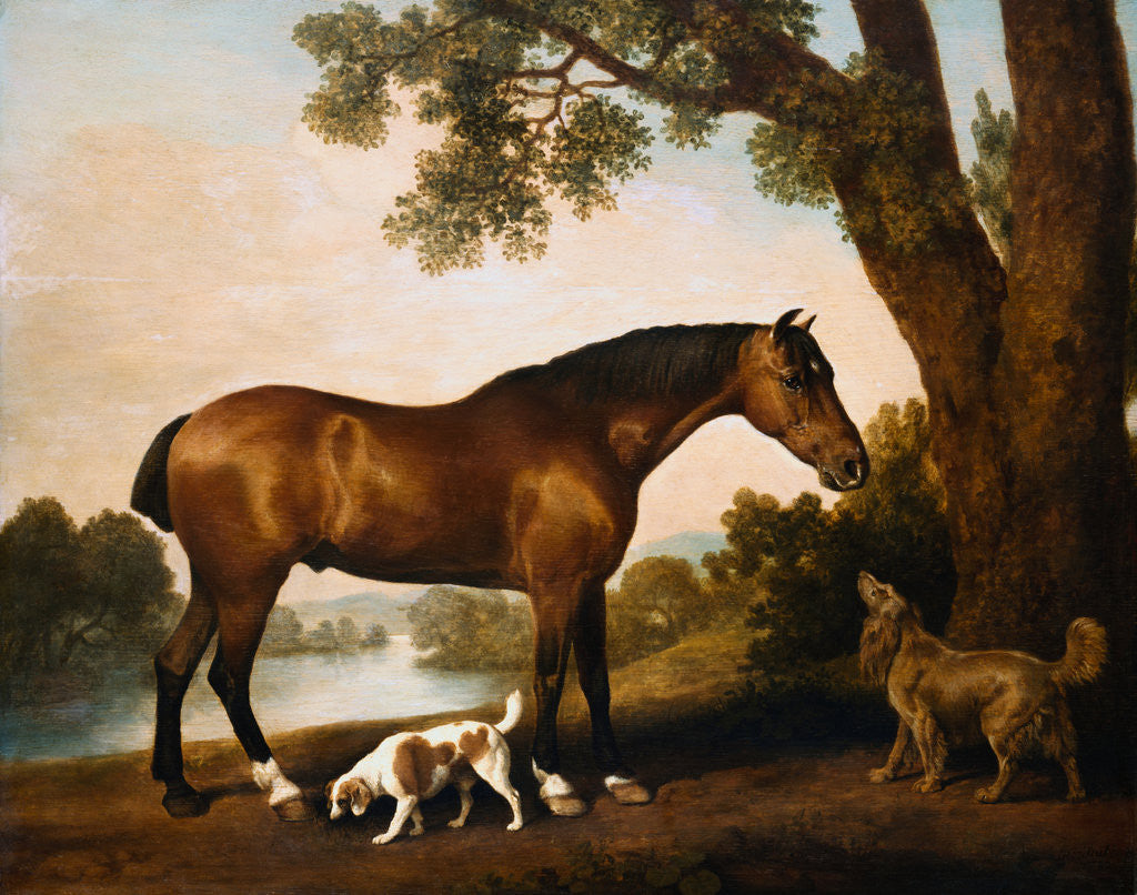 Detail of A Bay Hunter, A Springer Spaniel and a Sussex Spaniel by George Stubbs