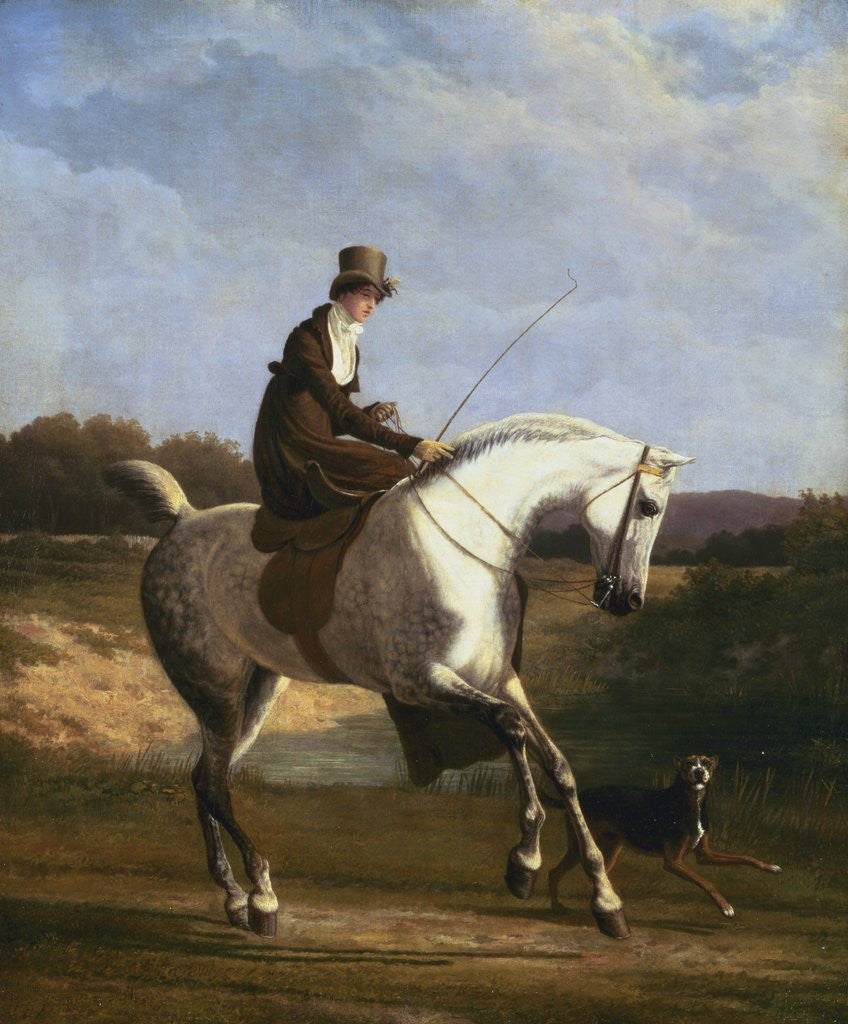 Detail of Miss Cazenove on a Grey Hunter by Jacques-Laurent Agasse