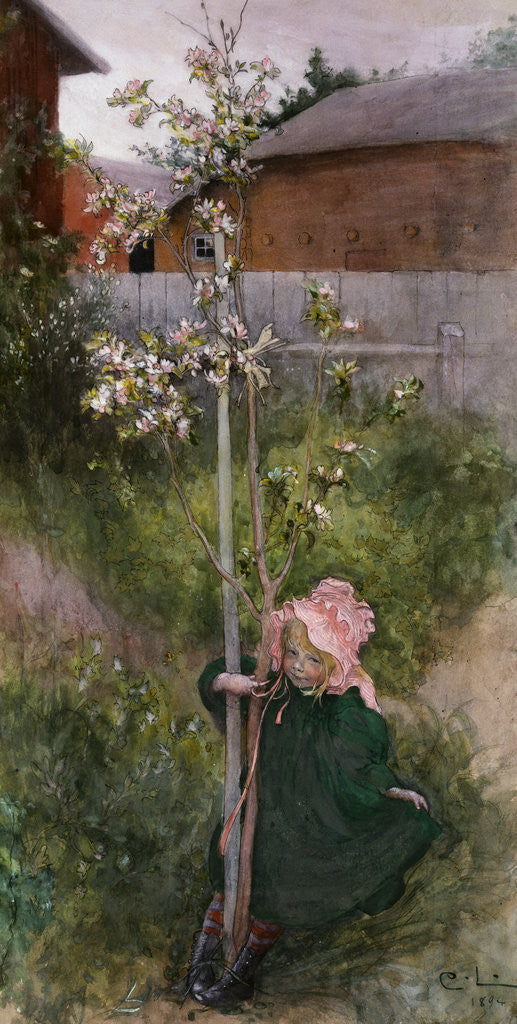 Detail of Appelblom by Carl Larsson