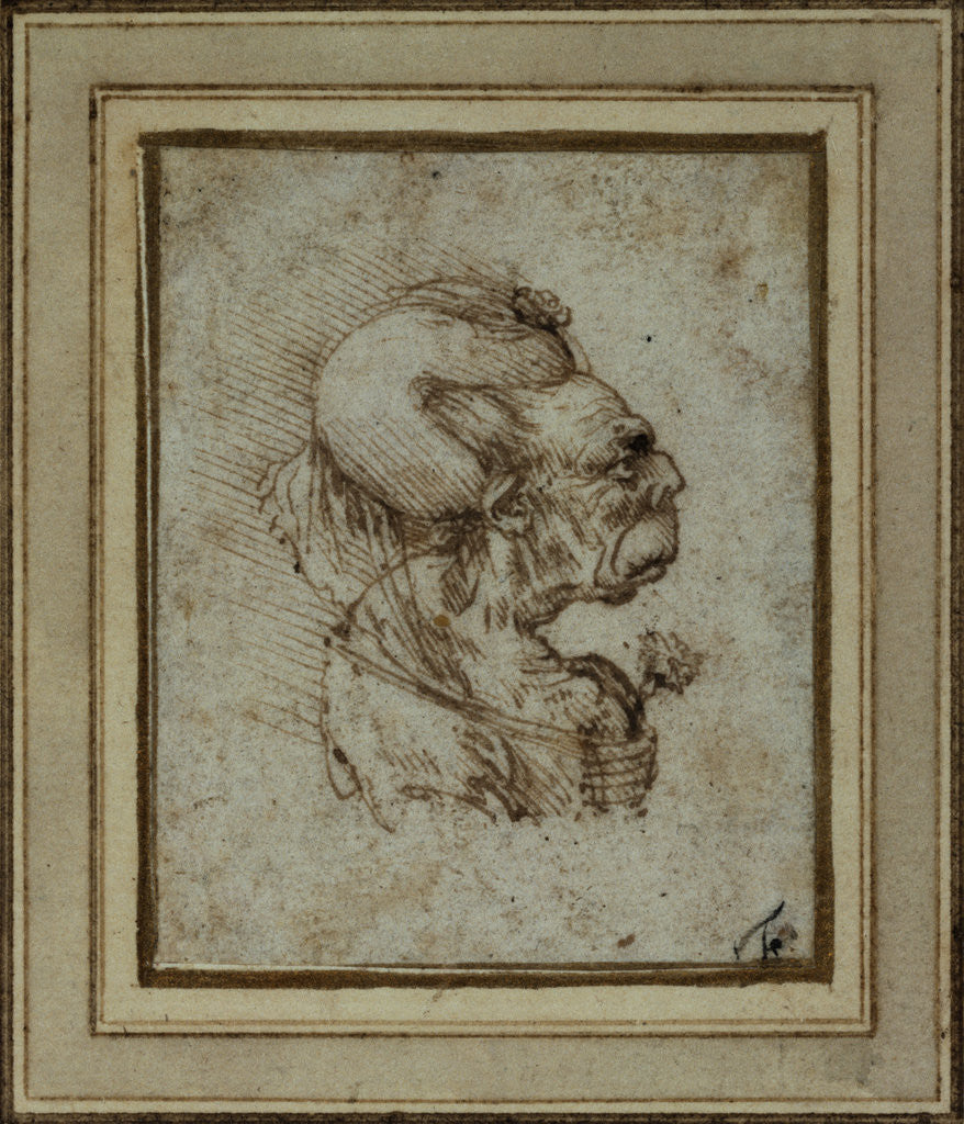 Detail of Caricature of an Elderly Woman by Leonardo da Vinci
