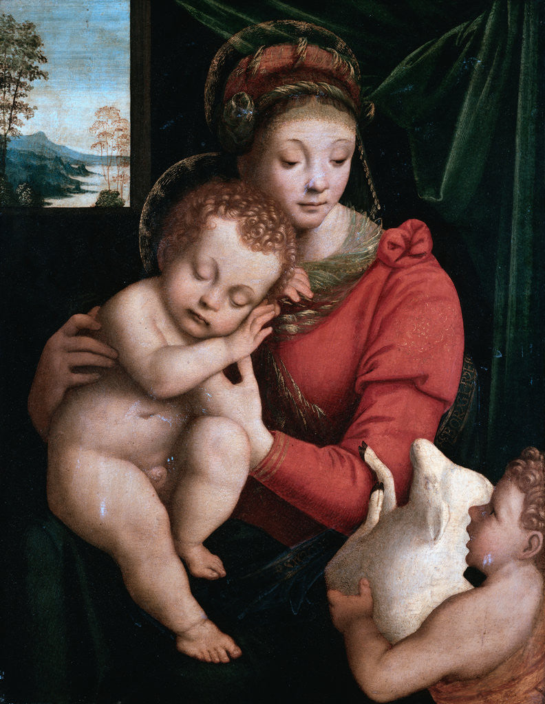 Detail of The Madonna with the Sleeping Child and the Infant Baptist by Bernardino Lanino
