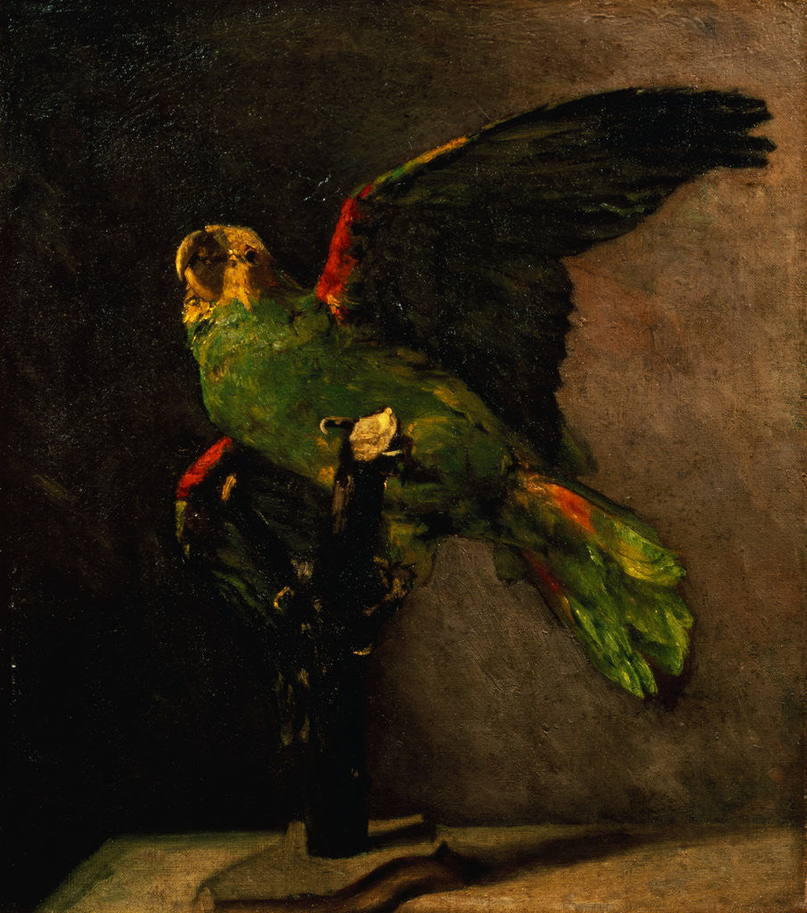 Detail of The Green Parakeet by Vincent Van Gogh